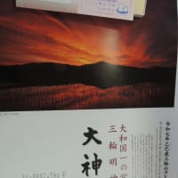 大神神社のいただきもの。