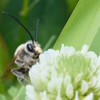 「閑話休題」滞っていた画像大量アップとなりました💦