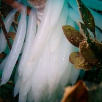 海からのお便り(^^)/