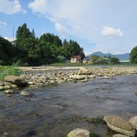 鮎釣り（山形県・小国川）・・・今シーズン初釣行20230805