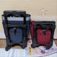 壁の絵を夏用に＆スワニーキャリーバッグを買ったけど返品