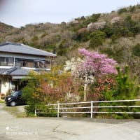 春巡礼、初日