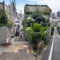 鳳山酒店と目白富士見坂の風景