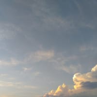 2025-07-06 Photo