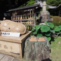 三室戸寺その１