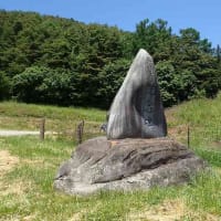 【霧訪山】　半日で楽しめる、眺望抜群＆体力作りでお得感120％
