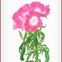 お稽古（ボタニカルアート）