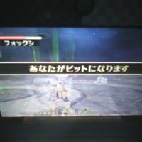 パルテナの鏡 ば...バグったw