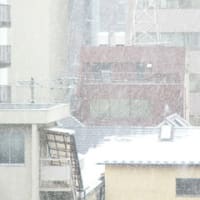 仙台は吹雪です。