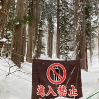 雪の戸隠神社