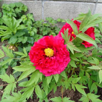 連休は始まっていた