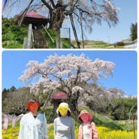 女３人、桜旅　in　福島♪