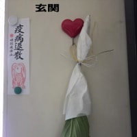 アジサイがまだ咲いてなくて・・