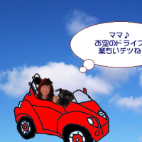 真っ赤なポルシェに乗って