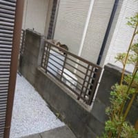 クリンへの想いは尽きなくて・・・294