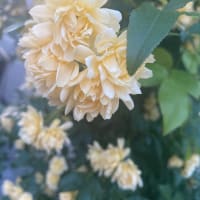 自分のバランス