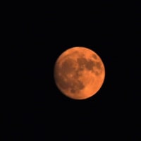 昨日の月