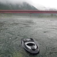 釣りは出来たけど・・・
