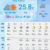 ふた晩で戻った妻の目に涙