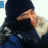 映画 Film278 『南極物語』