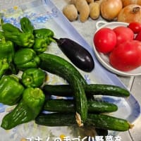 野菜・ランチ