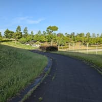 今朝の防災公園