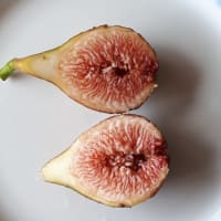 いちじく