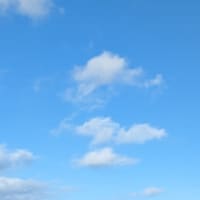 今年の目的