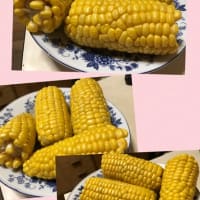 ☆昨日も？釣れませんでしたね？今日かな？？（笑）☆