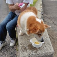 寝ながら走る・・・