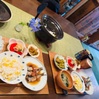 数日間の夕ご飯