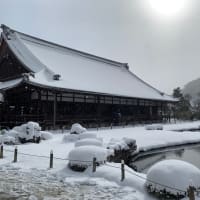 雪の嵐山からの酒カフェ☆嵐山