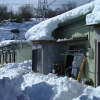 春を生み出すのは簡単ではないな。