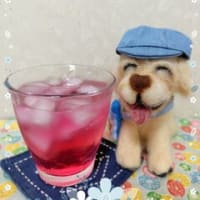 赤紫蘇