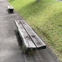 もはや風格