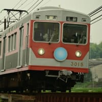 今日は 暑くなりそうだ