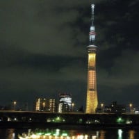 パソコンの壁紙にしています～♪