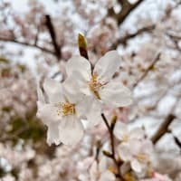 すっかり温かくなりました