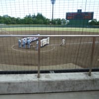 夏の高校野球 埼玉県予選