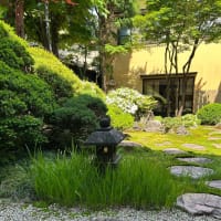 お客様目線でお写真を撮ってみた！！いろいろ勉強になります。