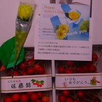 佐藤君が１６年かけて産み出したサクランボ