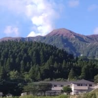 今日は３時起き