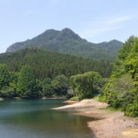 新緑の古賀志山
