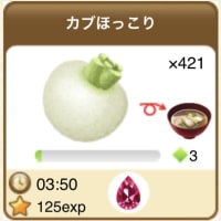 経験値効率9