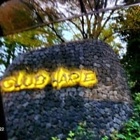 彦根市から東近江市のクラブハリエ「八日市の杜」に行きましたショート動画