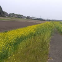 花の道・散歩