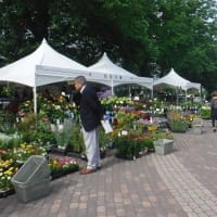 花フェスタ札幌2025を覗いてみた　