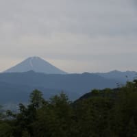 今日の・・・