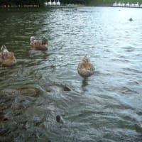 気分転換に