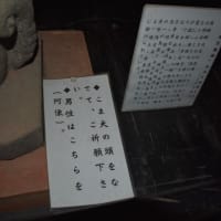 ☆談山神社 * 夜桜ライトアップをしていました